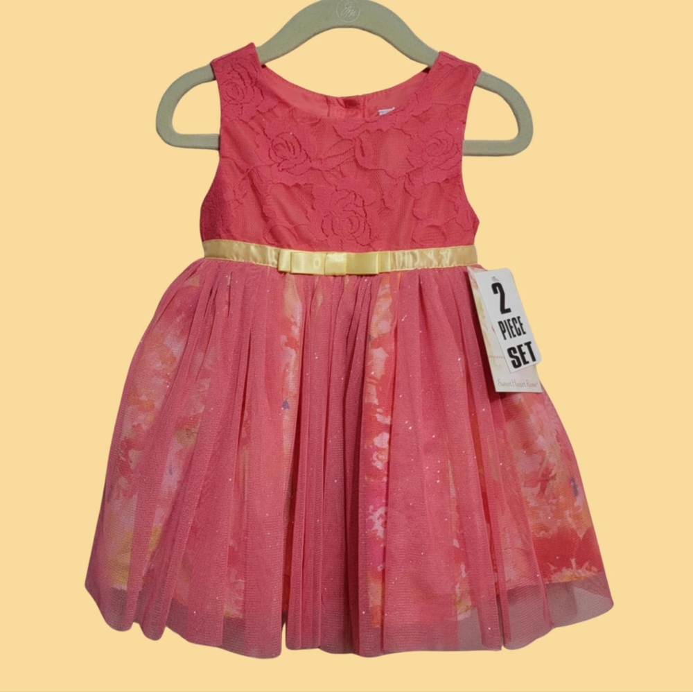 NWT Sweet Heart Rose Baby Girls Lace Bodice Floral Mesh Party Holiday Dress 24M